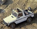 Mercedes-Benz 230 G Cabrio 1979 года